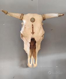 teschio toro