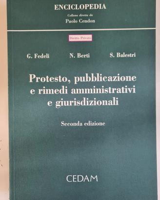 CEDAM - Protesto, Pubblicazione E Rimedi - 2005
