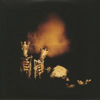 Pearl Jam – Riot Act