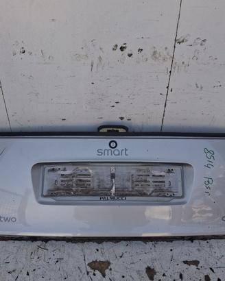 Q0000640V018C50L00 BAULE POSTERIORE SMART FORTWO (