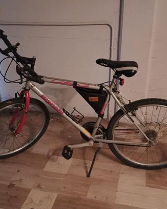 Mountain bike donna