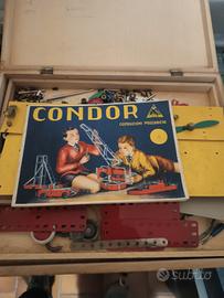 condor