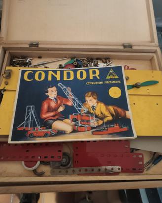 condor