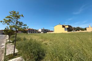 Terreno Edificabile di 1300 mq a Siliqua