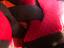 Immagine 6