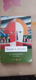 il novecento di salvadori 