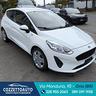 ford-fiesta-van-autocarro-2-posti-in-arrivo