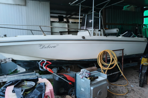 Sessa sunshine con 2 motori 4 tempi