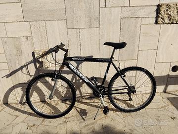 Biciclette Atala , Mountainbike e sportiva