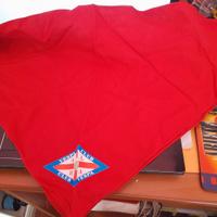 Vespa Club  Alba Foulard