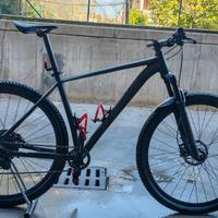 Mountain bike 