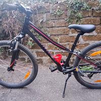 biciletta mountain bike speciized 24