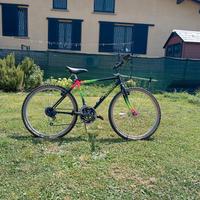 bicicletta mountain bike 