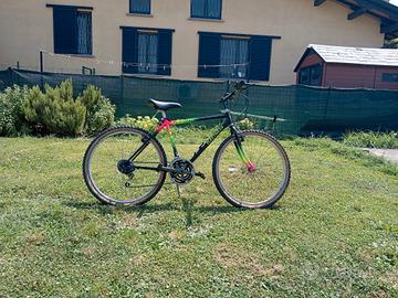 bicicletta mountain bike 