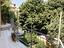 Immagine 9