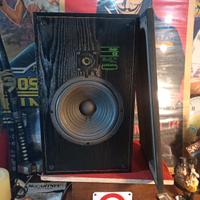 coppia di diffusori chario c2 