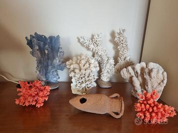 coralli per acquario