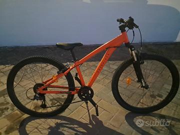 bici da montagna 