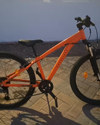 bici da montagna 