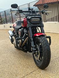 Harley Fat bob