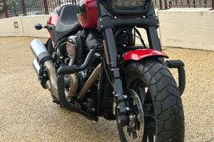 Harley Fat bob