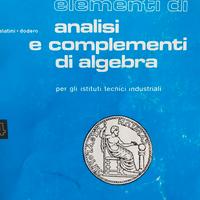 Elementi di analisi e complementi di algebra