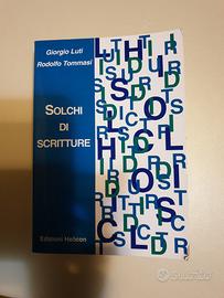 libro Solchi di scritture 