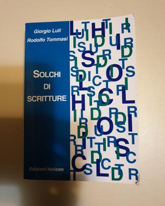 libro Solchi di scritture 