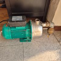 pompa autoadescante wilo