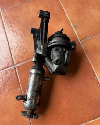 Scambiatore calore egr smart 451 cdi • Giugliano