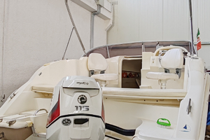 Seacode 20 Evinrude 115 2018, carrello