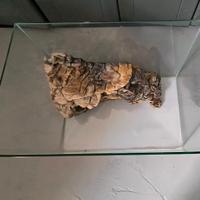 Acquario per tartarughe