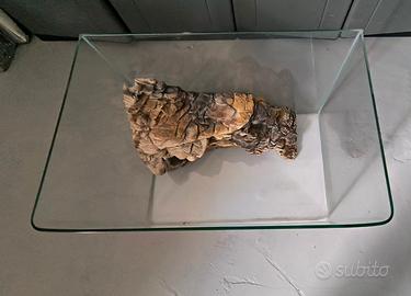 Acquario per tartarughe