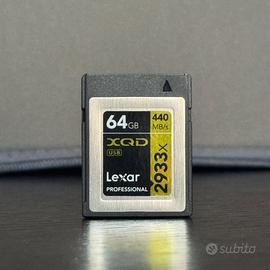 Scheda Lexar Professional 64 GB