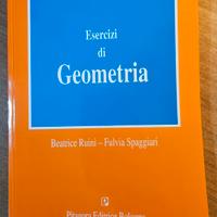 Esercizi di Geometria - Ruini, Spaggiari