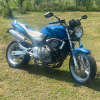 Honda hornet