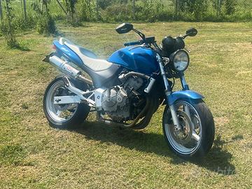 Honda hornet