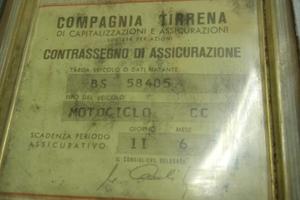 Allodola 250