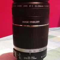 Canon EF-S 55-250mm IS