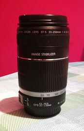 Canon EF-S 55-250mm IS