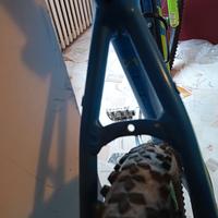 MTB Cube Analog "29