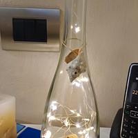 bottiglie decorativa(VENDUTA, NON È PIÙ DISPONIBIL