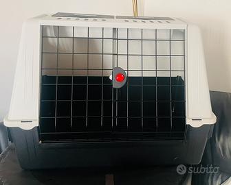 Kennel rasportino Auto per Cani taglia grande