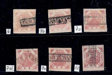 NAPOLI 2 GRANA 3° TAVOLA STUDIO DELLE TINTE SASSON