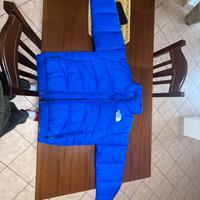 Giubotto the north face