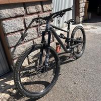 Specialized status 2024 tg M