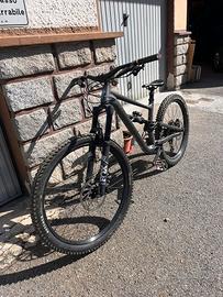 Specialized status 2024 tg M