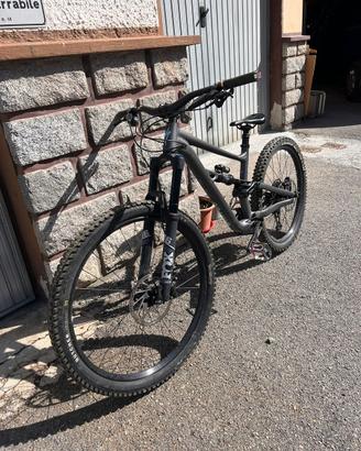 Specialized status 2024 tg M