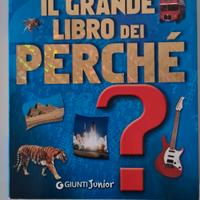 Il libro dei perché valore 17,5