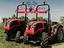 Immagine 1